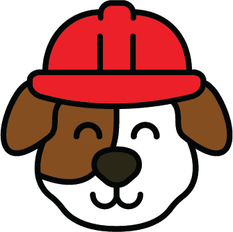 Race to the Rescue Party